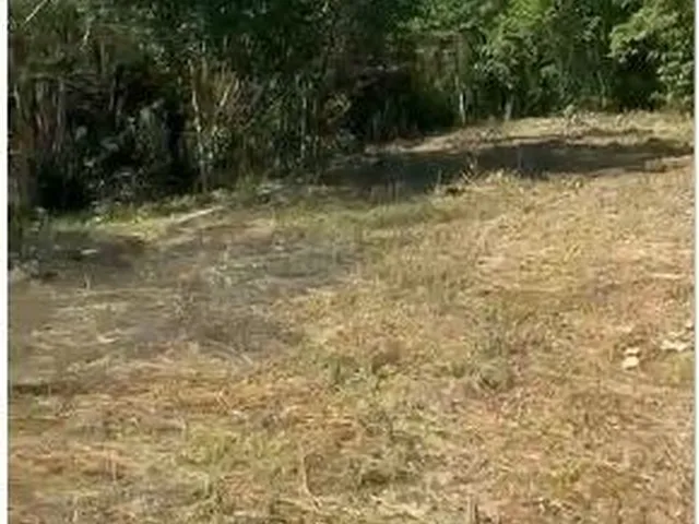 Imagem: Terreno Residencial em Itanhaém - São