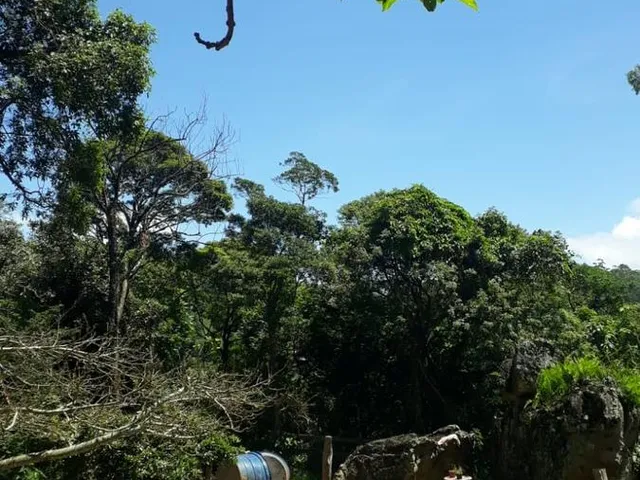 Imagem: Terreno Residencial em Mairiporã - São