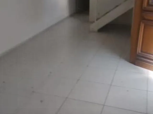 Imagem 8: Casa Comercial em São Paulo - São Paulo, Indianópolis