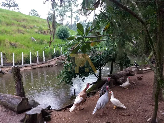 Imagem 7: Sitio 13.300M² À Venda