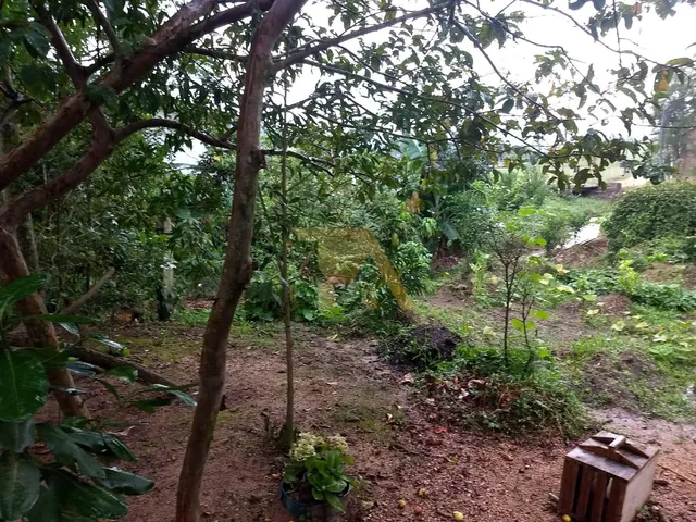 Imagem 6: Sitio 13.300M² À Venda