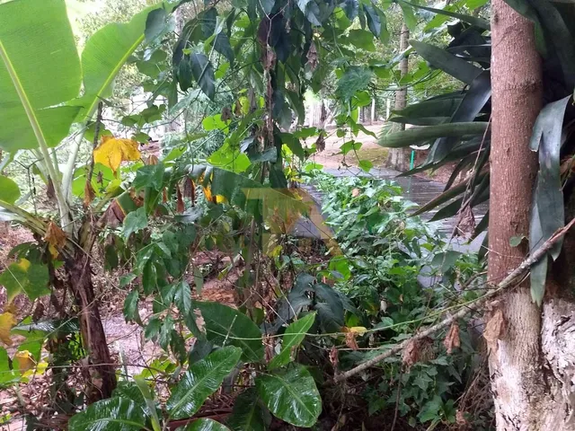 Imagem 10: Sitio 13.300M² À Venda