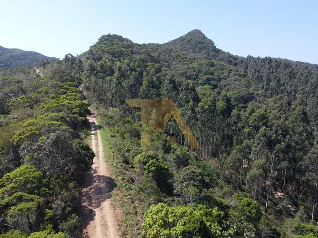 Imagem: Terreno 9.891M² À Venda