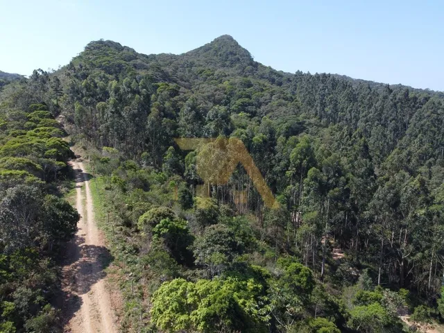 Imagem 5: Terreno 9.891M² À Venda