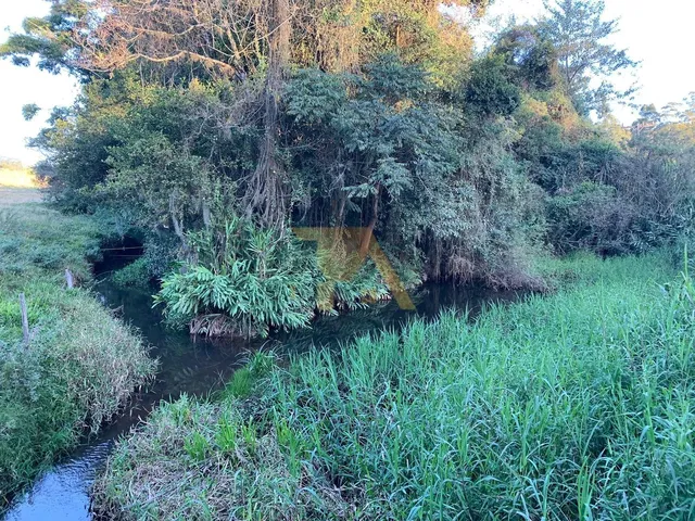 Imagem 15: Sítio Amplo com 9 Hectares Escriturado