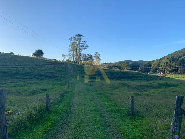 Imagem 10: Sítio Amplo com 9 Hectares Escriturado