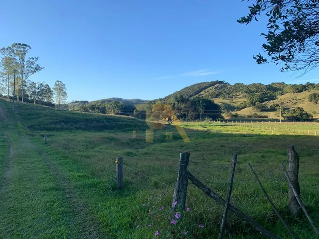 Imagem 9: Sítio Amplo com 9 Hectares Escriturado