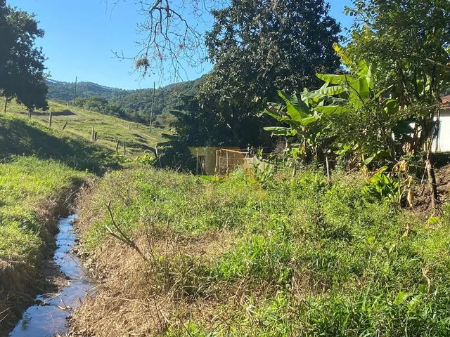 Imagem 16: Sítio Amplo com 9 Hectares Escriturado