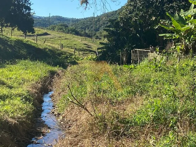 Imagem 5: Sítio Amplo com 9 Hectares Escriturado