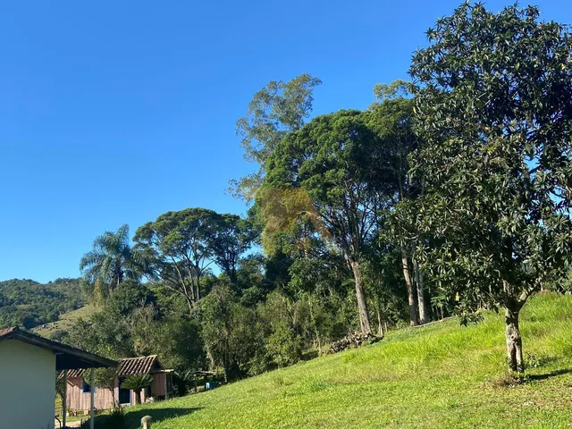 Imagem 6: Sítio Amplo com 9 Hectares Escriturado