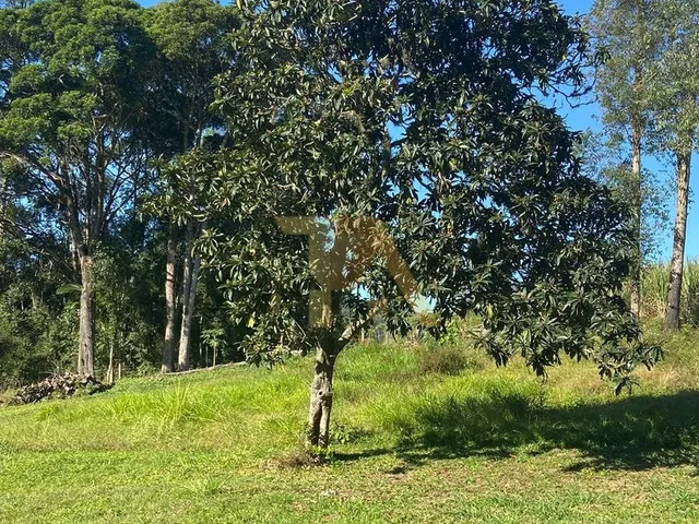 Imagem 4: Sítio Amplo com 9 Hectares Escriturado