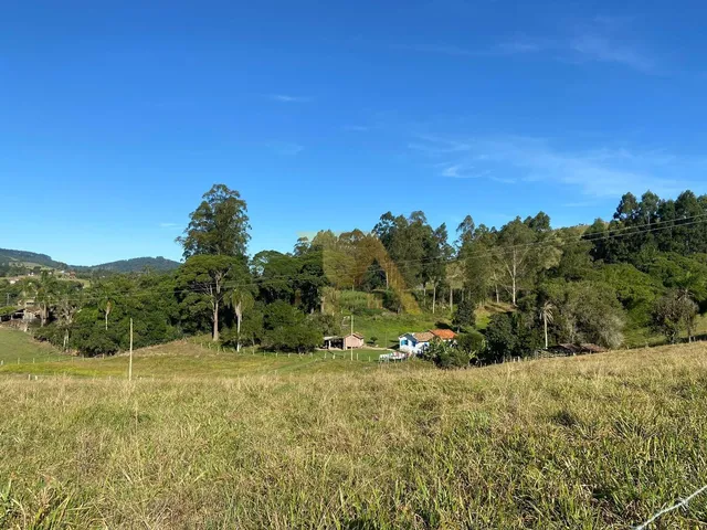 Imagem 2: Sítio Amplo com 9 Hectares Escriturado