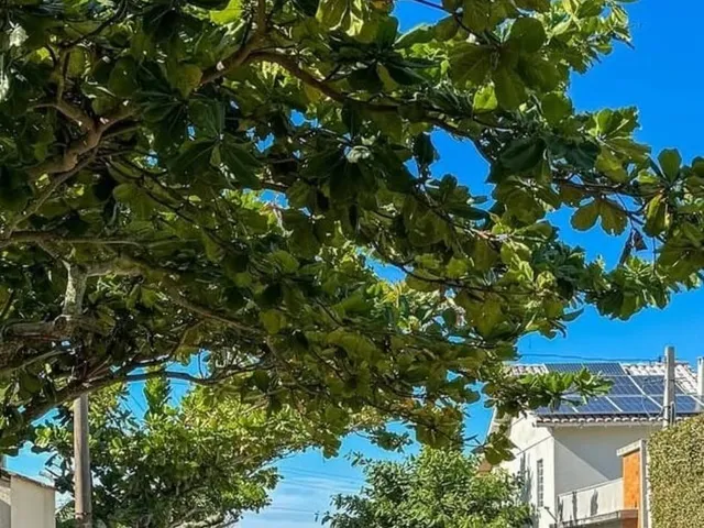 Imagem 9: Pousada a 150M do Mar! com Matrícula À Venda