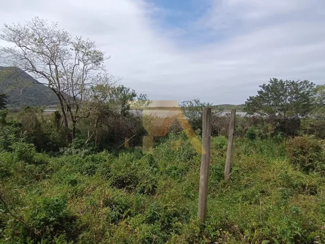 Imagem 9: Casa para Reforma À Venda
