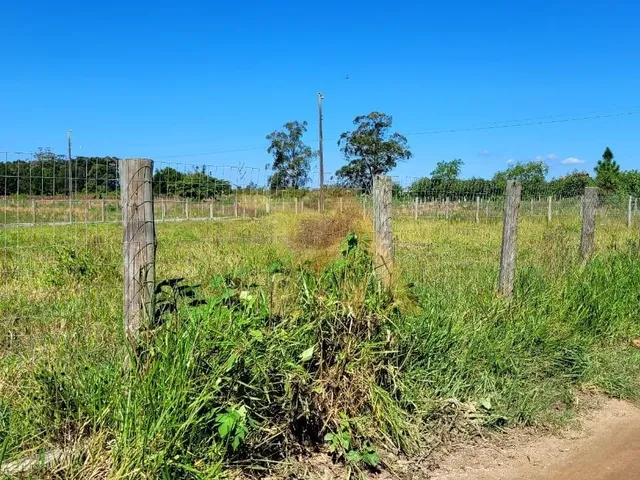 Imagem 2: Terreno À Venda com 1558M², Iptu em Dia e Usucapião em Andamento