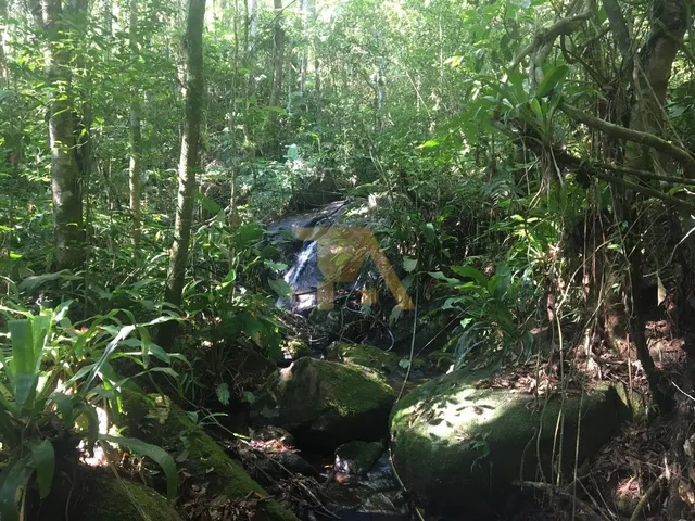 Imagem 16: Paraíso Rural À Venda: Sítio de 15 Hectares, Perfeito para Criação de Gado e Atividades Agrícolas