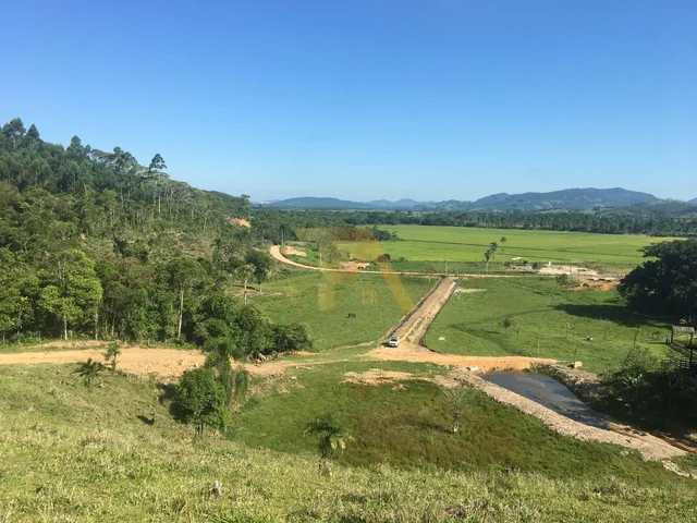 Imagem 3: Paraíso Rural À Venda: Sítio de 15 Hectares, Perfeito para Criação de Gado e Atividades Agrícolas