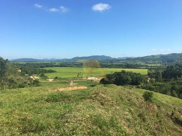 Imagem 7: Paraíso Rural À Venda: Sítio de 15 Hectares, Perfeito para Criação de Gado e Atividades Agrícolas