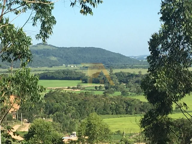Imagem 2: Paraíso Rural À Venda: Sítio de 15 Hectares, Perfeito para Criação de Gado e Atividades Agrícolas