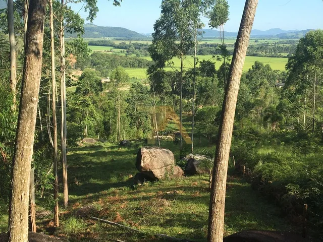 Imagem 4: Paraíso Rural À Venda: Sítio de 15 Hectares, Perfeito para Criação de Gado e Atividades Agrícolas