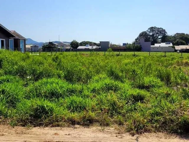 Imagem 4: Terreno de 510M² na Rua da Lagoa: Construa a Casa dos Seus Sonhos em Imbituba-Sc, Bairro Campo Duna!