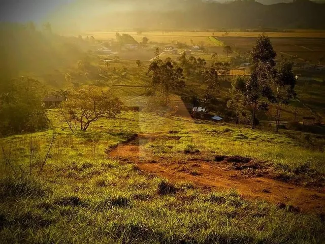 Imagem: Imóvel À Venda Sítio de 43.000M2