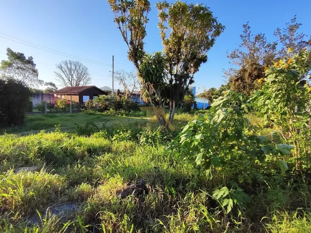 Imagem 4: Terreno Ao Lado de Condomínio de Alto Padrão