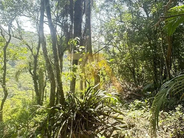Imagem 9: Terreno de 1 Hectare