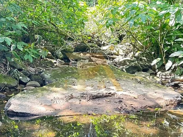 Imagem 7: Terreno de 1 Hectare