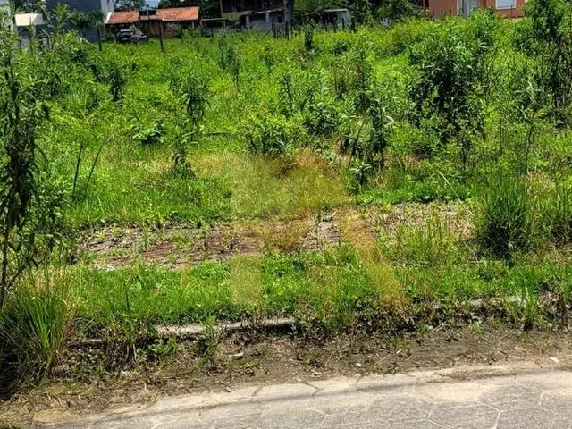 Imagem 4: Lote com 359,98 M² e Face Norte