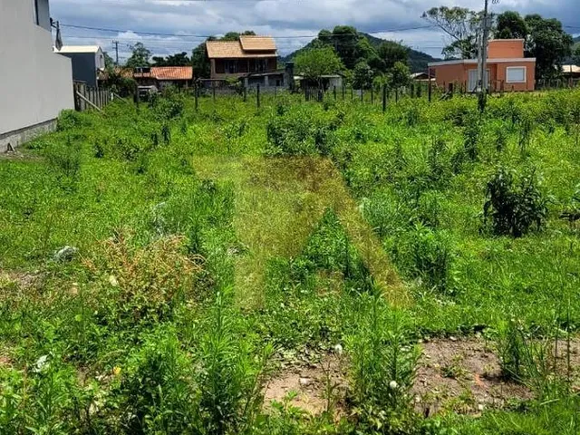 Imagem 5: Lote com 359,98 M² e Face Norte