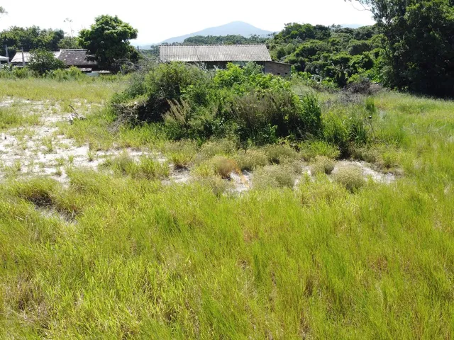 Imagem 5: 0 Terreno / lote com venda por R$690.000
