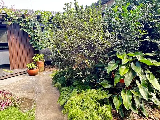 Imagem 11: 0 Casa com 3 dormitórios