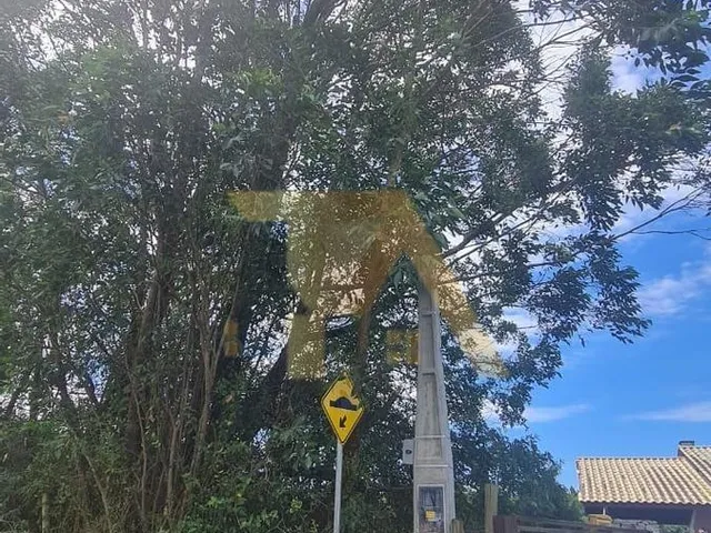 Imagem 3: Terreno a 9Min da Praia do Rosa
