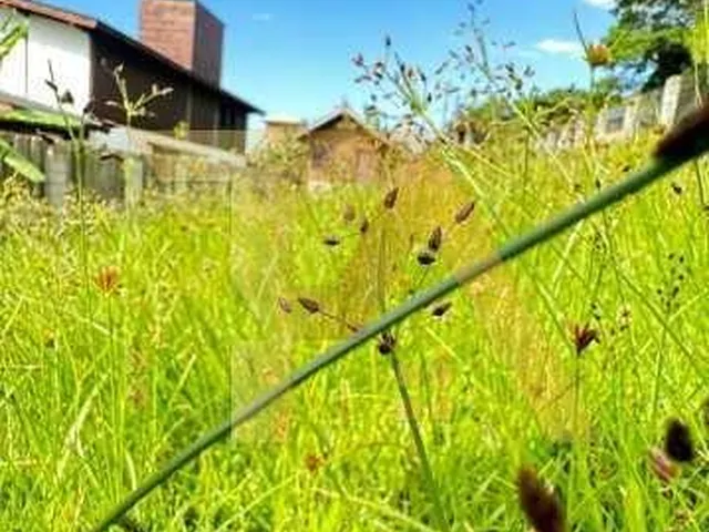 Imagem 4: Terreno À Venda na Praia do Rosa, Imbituba-Sc: 544,00 M² de Oportunidade Única!