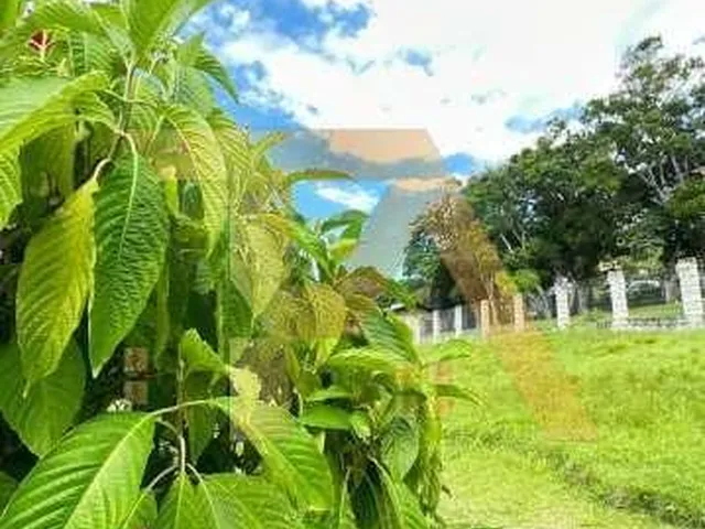Imagem 8: Terreno À Venda na Praia do Rosa, Imbituba-Sc: 544,00 M² de Oportunidade Única!