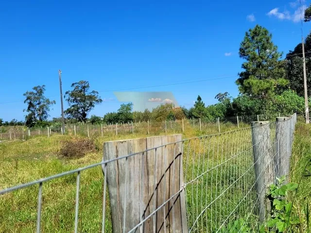 Imagem 15: 0 Casa com 2 dormitórios