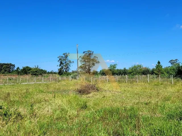 Imagem 8: 0 Casa com 2 dormitórios