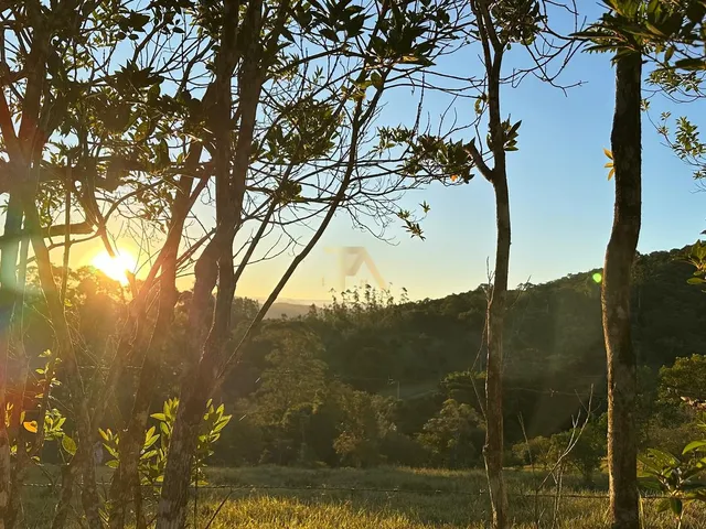 Imagem 6: 0 Casa com 3 dormitórios