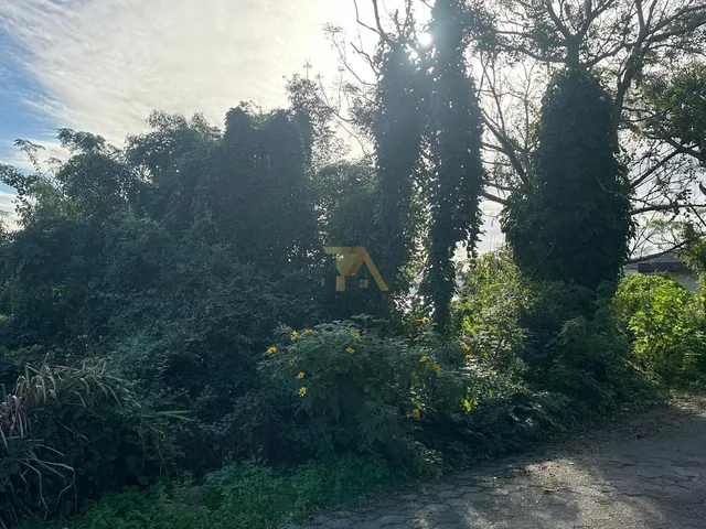 Imagem 8: Terreno Amplo com Mais de Dois Mil Metros Quadrados em Região Valorizada de Imaruí, com Vista Privilegiada para a Lagoa
