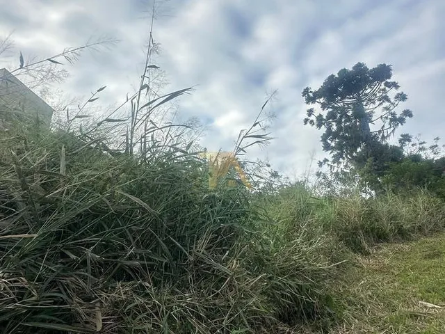 Imagem 7: Terreno Amplo com Mais de Dois Mil Metros Quadrados em Região Valorizada de Imaruí, com Vista Privilegiada para a Lagoa