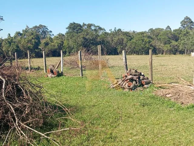 Imagem 5: Terreno Pronto para Construir em Ótima Localização Campo Duna