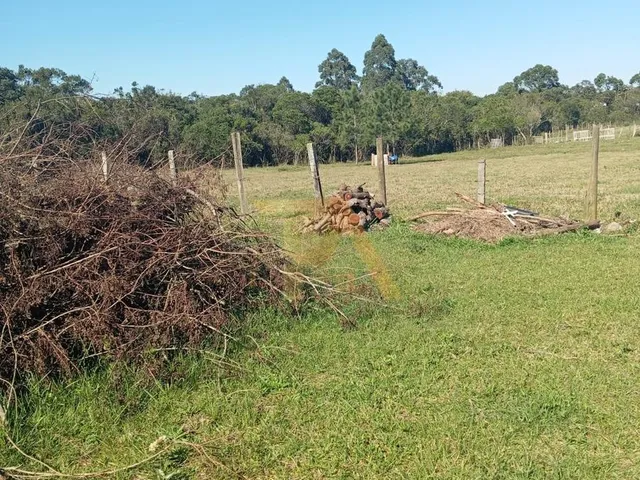 Imagem 12: Terreno Pronto para Construir em Ótima Localização Campo Duna