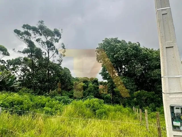 Imagem 5: Terreno a Poucos Minutos da Lagoa da Ibiraquera