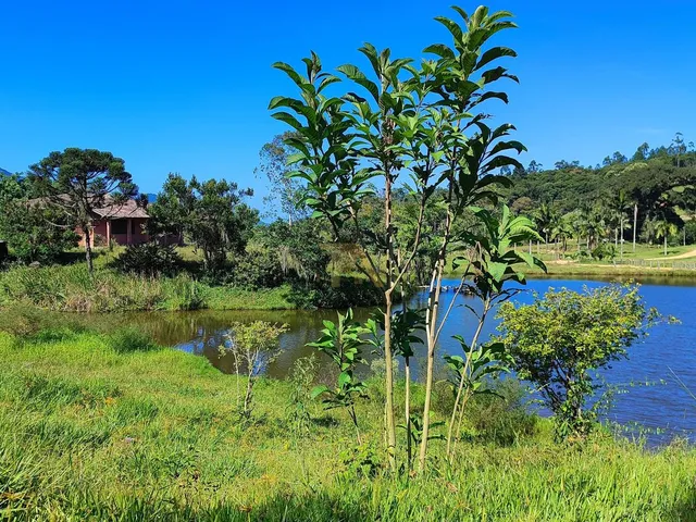 Imagem 8: Propriedade Rural de 10 Hectares À Venda em Rio Duna, Imaruí