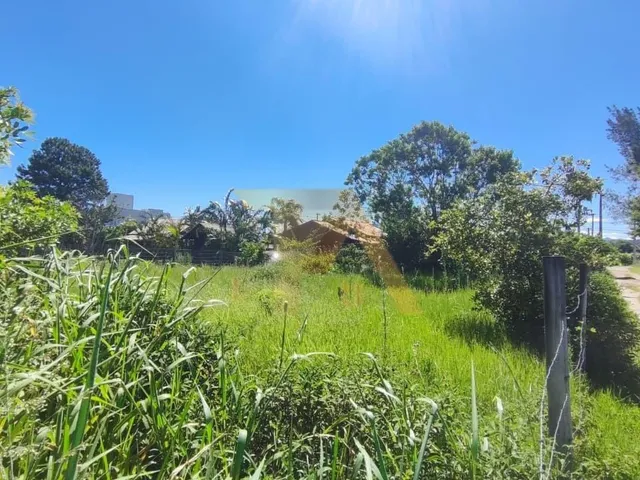 Imagem 9: Terreno À Venda em Garopaba-Sc, Bairro Limpa, com 347,49 M² de Área!