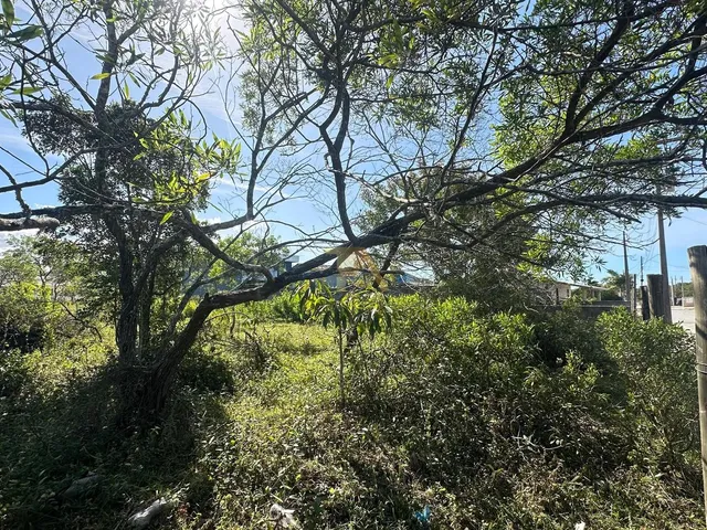 Imagem 2: 0 Terreno / lote com venda por R$400.000