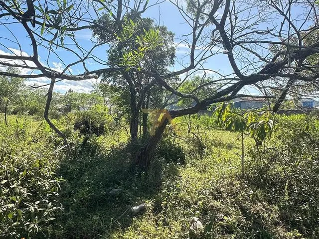 Imagem 8: 0 Terreno / lote com venda por R$400.000