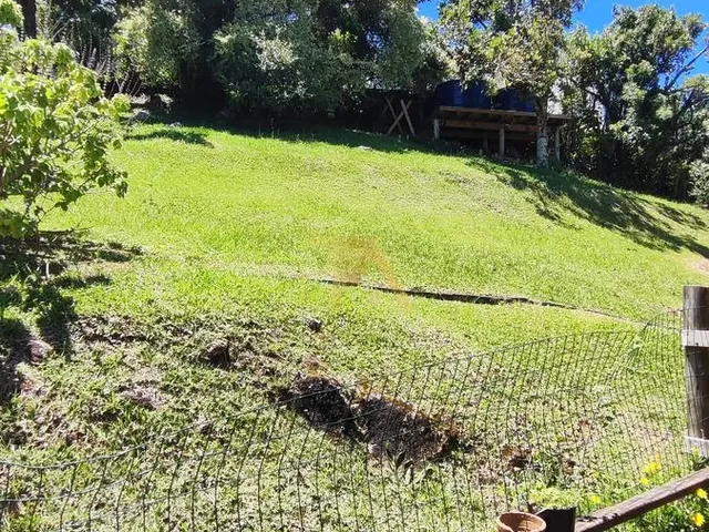 Imagem 3: 0 Casa com 3 dormitórios