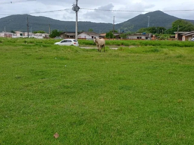 Imagem 2: Terreno À Venda em Imbituba-Sc - Bairro Mirim Oportunidade Única de Investimento!